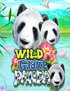 Crazy 777 แตกง่าย เทคนิคที่ไม่ควรพลาด!